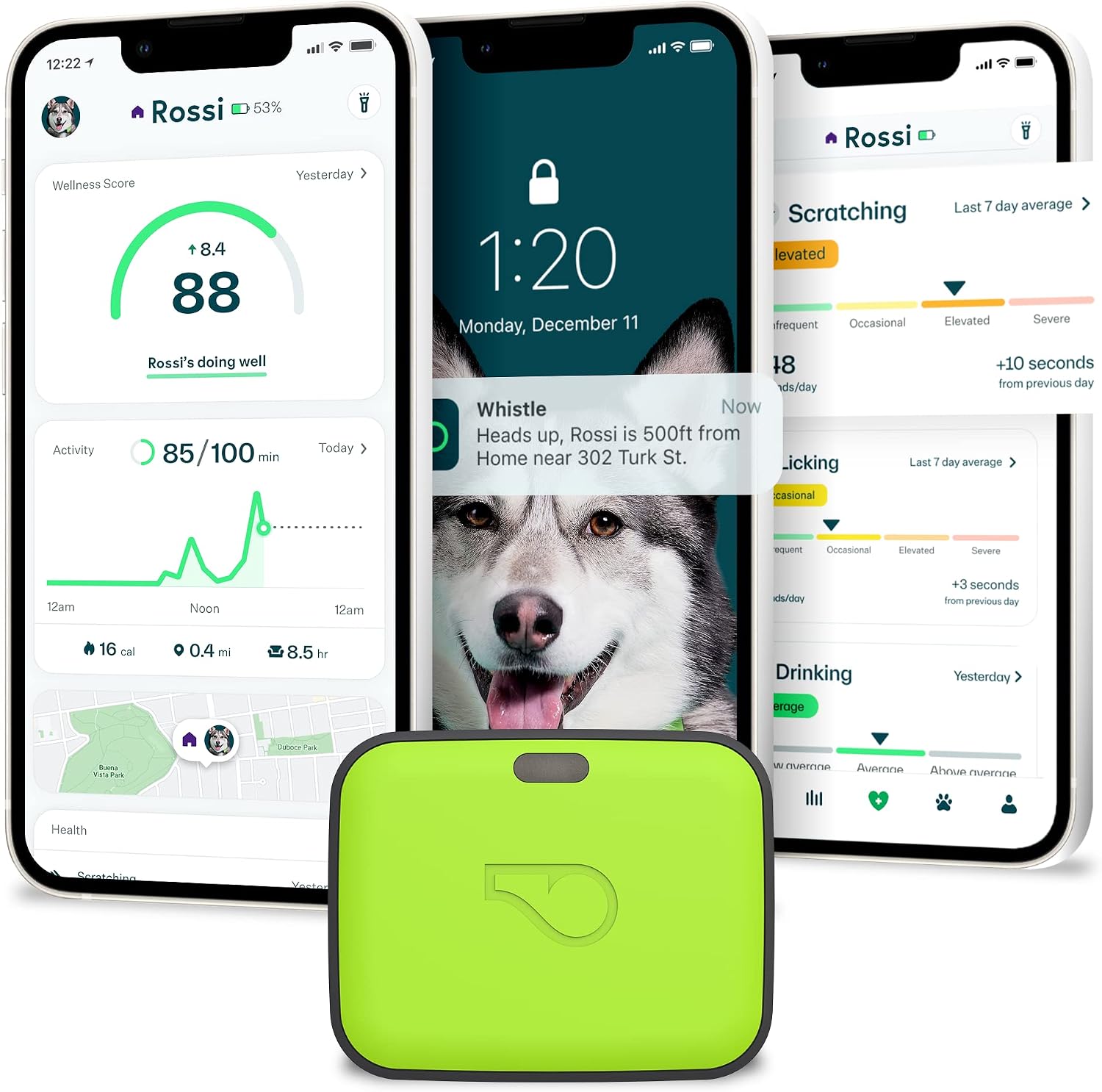 Editor's Pick for Pet Owners: Whistle GO Explore (B07TC75S8X)