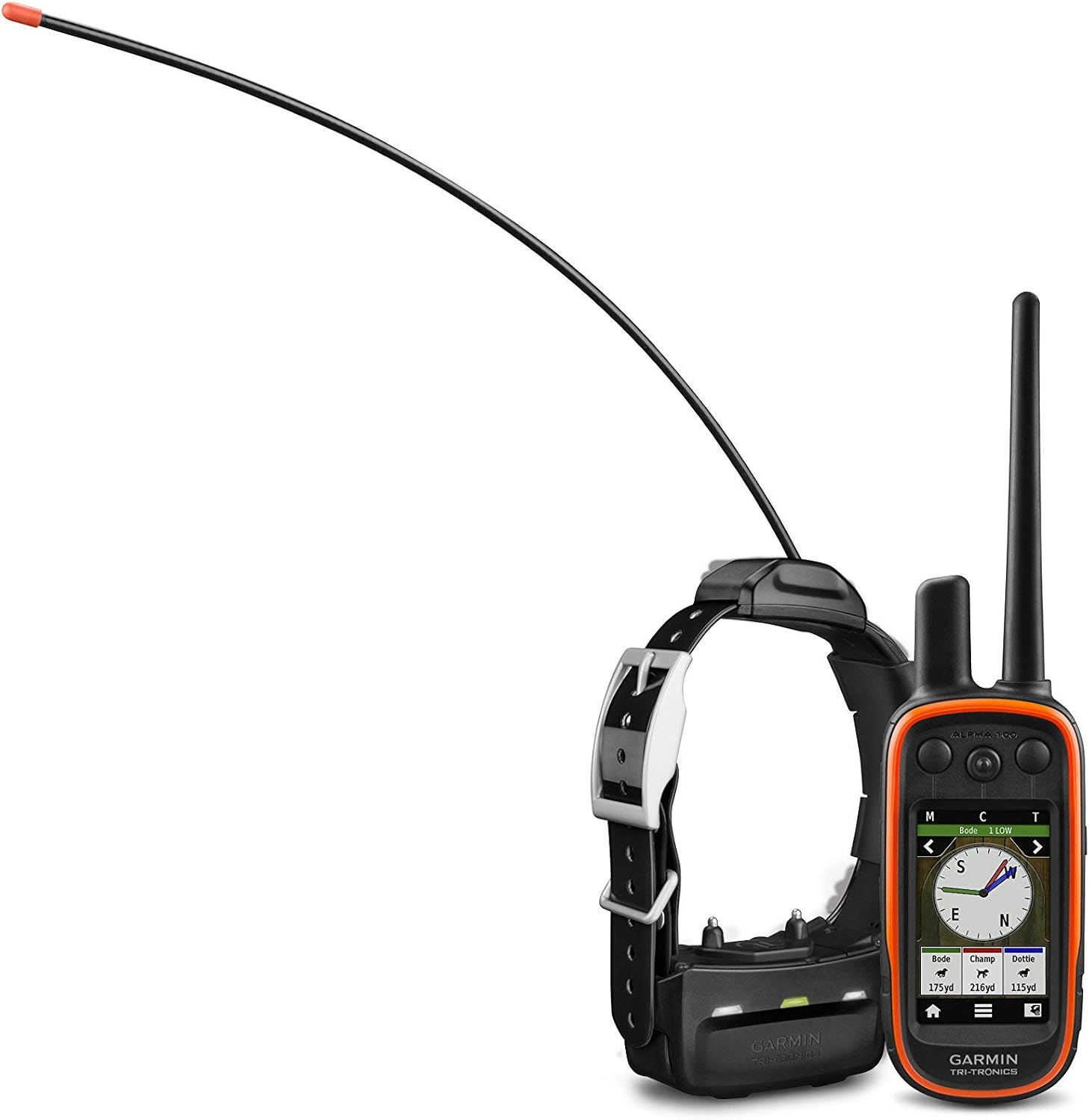 Should You Buy the Garmin Alpha 100?