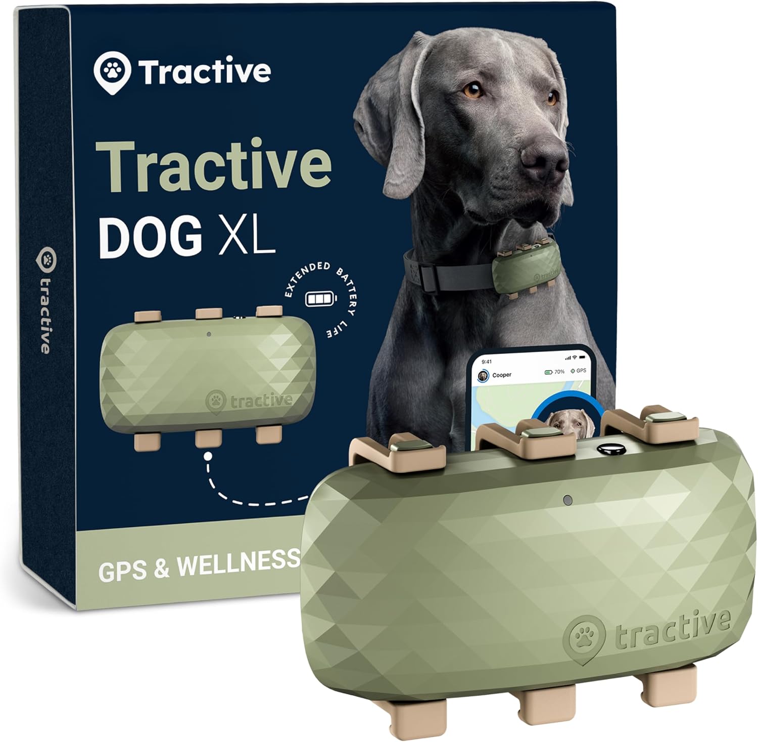 How Do Dog GPS Trackers Work? GNSS, Cellular, and the Lies - BestDogGPSTracker review with measurements and honest opinion