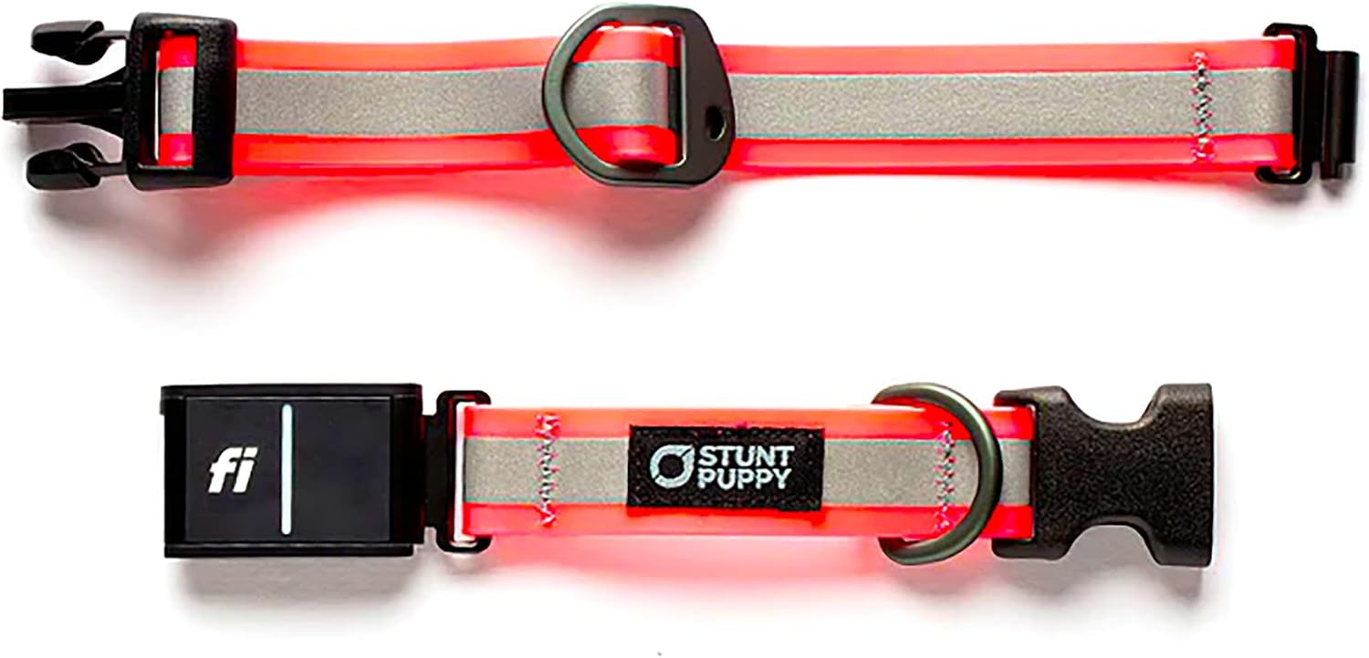 Stunt Puppy Dog Collar, Fi Series 3 and 3+ Ready, Small, Reflective Pink - Compatible with Fi GPS Device (Not Included)