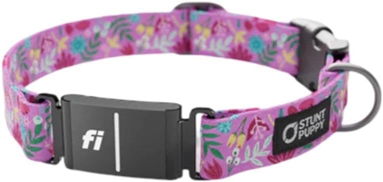 Fi Series 3 Collar