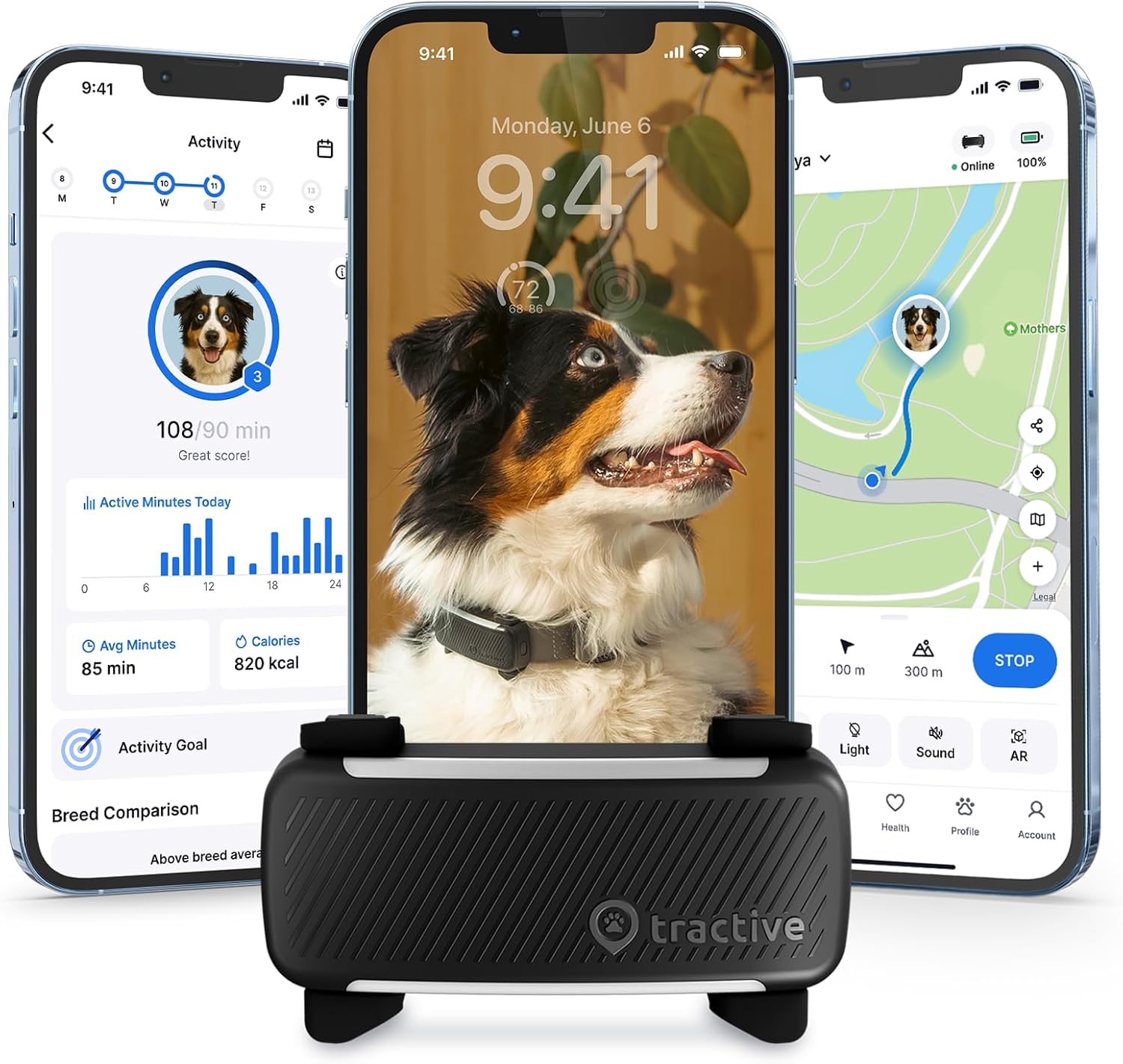 The 4 Best GPS Trackers for Small Dogs (Light Enough to Wear) - BestDogGPSTracker review with measurements and honest opinion