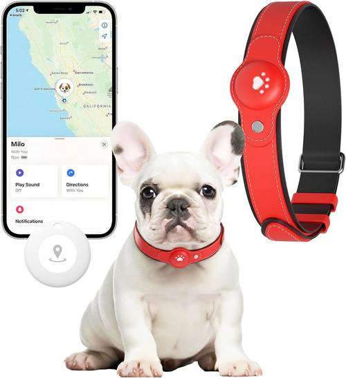 New GPS Tracker for Dogs: Smart Pet Collar with Real-Time Tracking, No Monthly Fee or Subscription, Waterproof, Anti-Lost, 365-Day Long Battery Life GPS Tracker Dog Collar