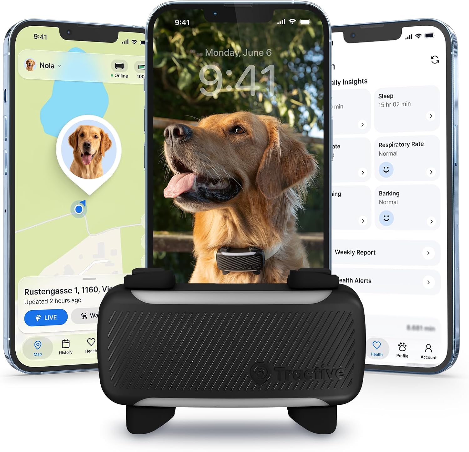 Dog GPS No Subscription