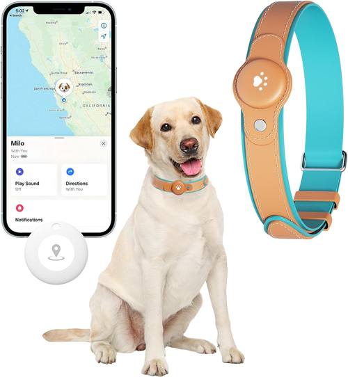New GPS Tracker for Dogs: Smart Pet Collar with Real-Time Tracking, No Monthly Fee or Subscription, Waterproof, Anti-Lost, 365-Day Long Battery Life GPS Tracker Dog Collar